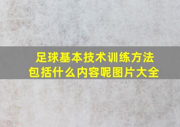 足球基本技术训练方法包括什么内容呢图片大全