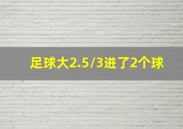 足球大2.5/3进了2个球