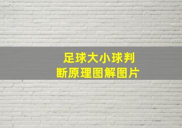 足球大小球判断原理图解图片