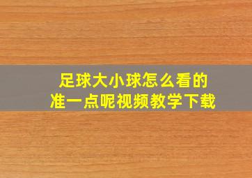 足球大小球怎么看的准一点呢视频教学下载