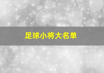 足球小将大名单