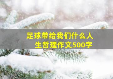 足球带给我们什么人生哲理作文500字