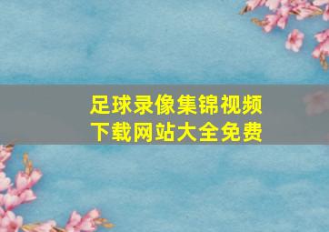 足球录像集锦视频下载网站大全免费