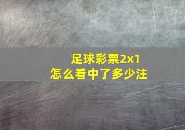 足球彩票2x1怎么看中了多少注