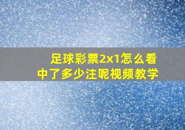 足球彩票2x1怎么看中了多少注呢视频教学