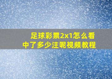 足球彩票2x1怎么看中了多少注呢视频教程