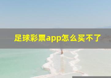 足球彩票app怎么买不了