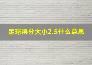 足球得分大小2.5什么意思