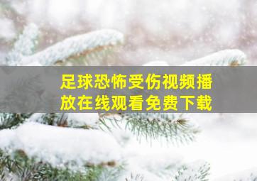 足球恐怖受伤视频播放在线观看免费下载