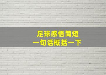 足球感悟简短一句话概括一下