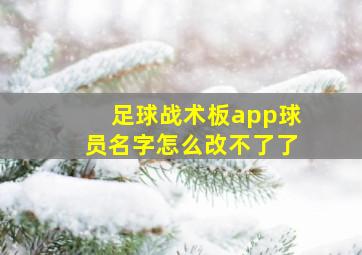 足球战术板app球员名字怎么改不了了