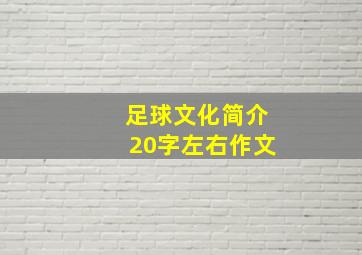 足球文化简介20字左右作文