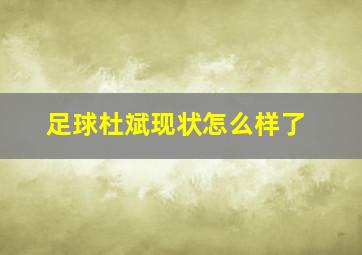 足球杜斌现状怎么样了