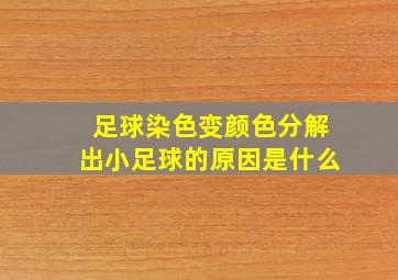 足球染色变颜色分解出小足球的原因是什么