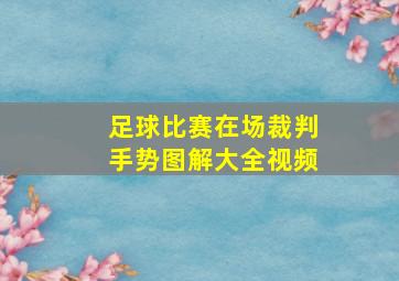 足球比赛在场裁判手势图解大全视频