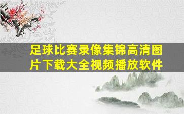 足球比赛录像集锦高清图片下载大全视频播放软件