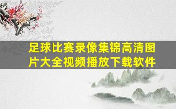 足球比赛录像集锦高清图片大全视频播放下载软件