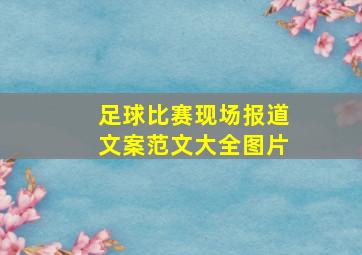 足球比赛现场报道文案范文大全图片