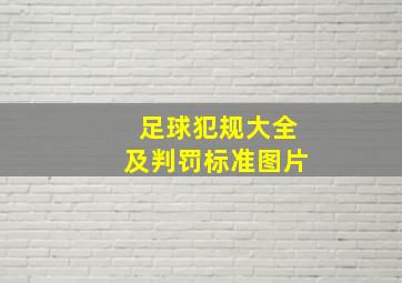 足球犯规大全及判罚标准图片