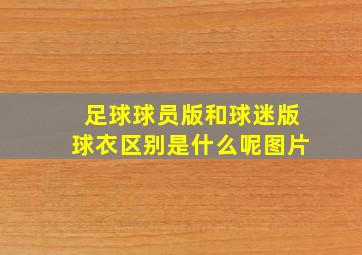 足球球员版和球迷版球衣区别是什么呢图片