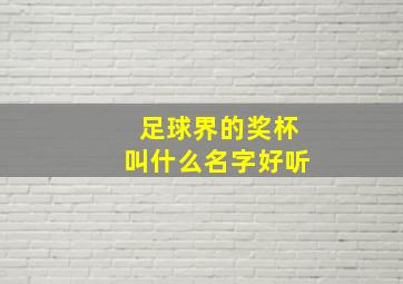 足球界的奖杯叫什么名字好听