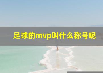 足球的mvp叫什么称号呢