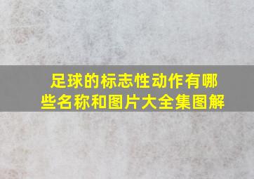 足球的标志性动作有哪些名称和图片大全集图解