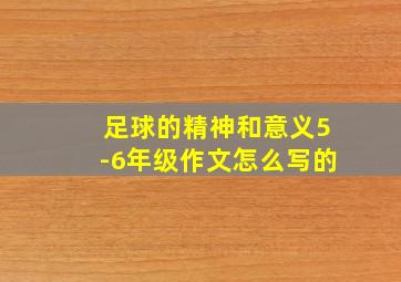 足球的精神和意义5-6年级作文怎么写的