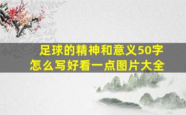 足球的精神和意义50字怎么写好看一点图片大全