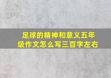 足球的精神和意义五年级作文怎么写三百字左右