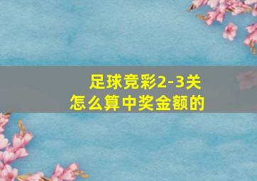 足球竞彩2-3关怎么算中奖金额的