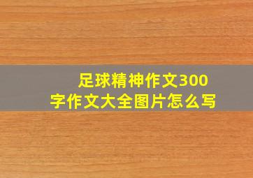 足球精神作文300字作文大全图片怎么写