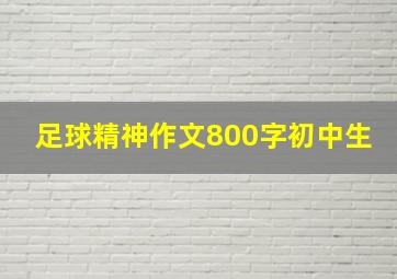 足球精神作文800字初中生