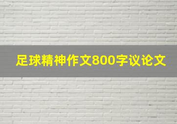 足球精神作文800字议论文