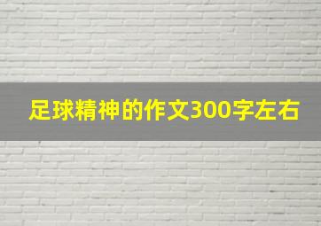 足球精神的作文300字左右