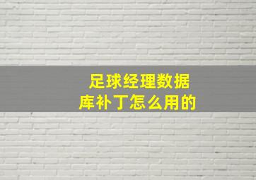 足球经理数据库补丁怎么用的