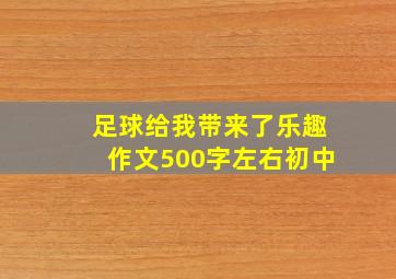 足球给我带来了乐趣作文500字左右初中