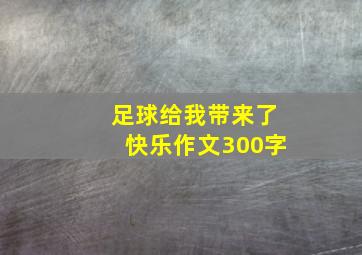 足球给我带来了快乐作文300字