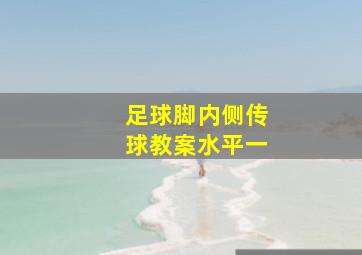 足球脚内侧传球教案水平一