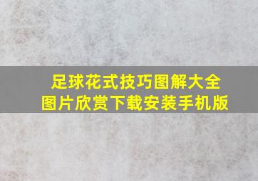 足球花式技巧图解大全图片欣赏下载安装手机版