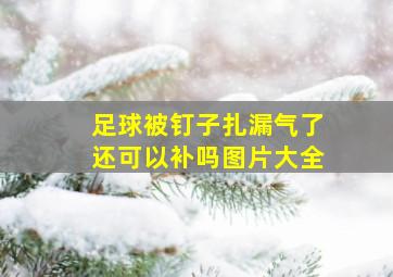 足球被钉子扎漏气了还可以补吗图片大全