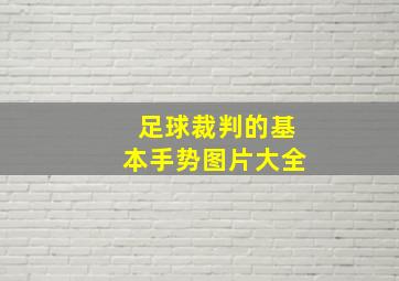 足球裁判的基本手势图片大全