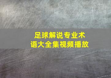 足球解说专业术语大全集视频播放