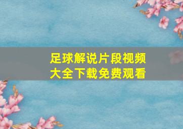 足球解说片段视频大全下载免费观看