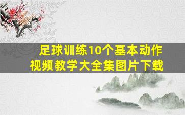 足球训练10个基本动作视频教学大全集图片下载