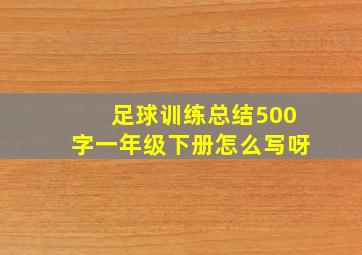 足球训练总结500字一年级下册怎么写呀