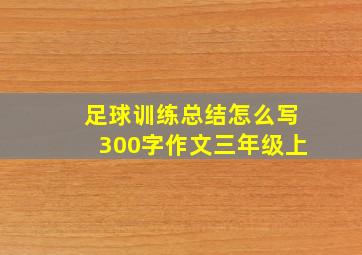 足球训练总结怎么写300字作文三年级上