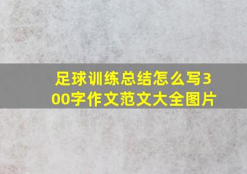 足球训练总结怎么写300字作文范文大全图片