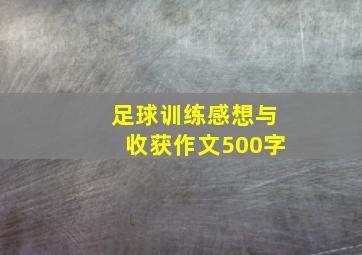 足球训练感想与收获作文500字