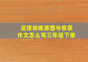 足球训练感想与收获作文怎么写三年级下册